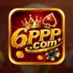 6PPP Game