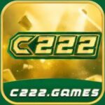 C222 Game