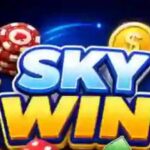SKYWIN Game