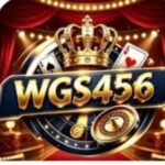 WGS456 Game